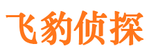 正安市婚外情调查